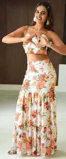 Nidhhi Agerwal feet photo 20