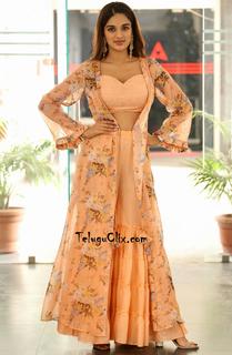 Nidhhi Agerwal feet photo 17