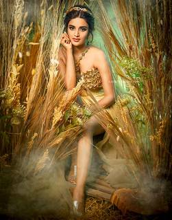 Nidhhi Agerwal feet photo 12