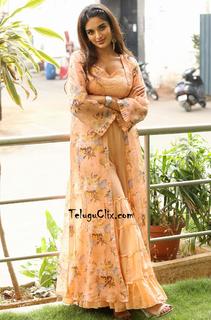 Nidhhi Agerwal feet photo 16