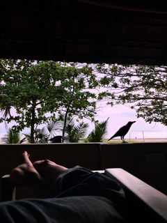 Nidhi Bhanushali feet photo 1