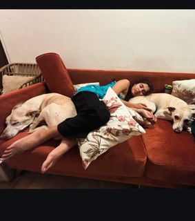 Nidhi Bhanushali feet photo 19