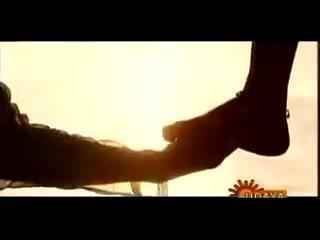 Nidhi Subbaiah feet photo 11