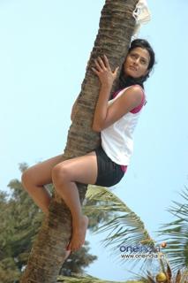 Nidhi Subbaiah feet photo 8