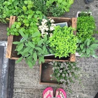 Nigella Lawson feet photo thumbnail