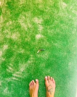 Nika feet photo 5