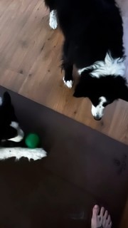 Nika feet photo 4