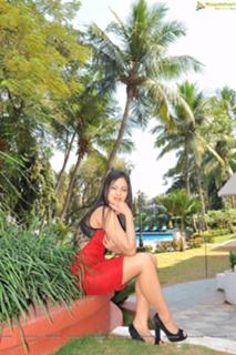 Nikeesha Patel feet photo 16