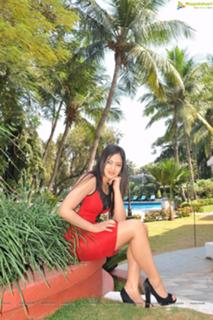 Nikeesha Patel feet photo 12