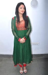 Nikeesha Patel feet photo 10