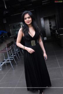 Nikeesha Patel feet photo 3