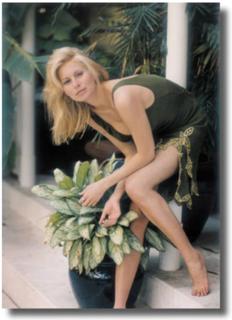Niki Taylor feet photo 5