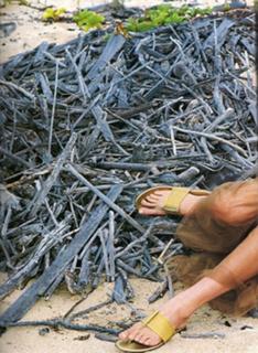 Niki Taylor feet photo 8