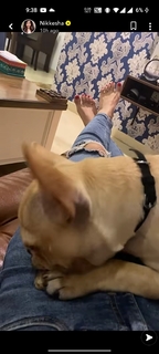 Nikkesha feet photo 2