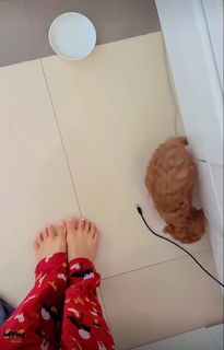 Nikkesha feet photo 17