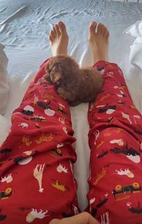 Nikkesha feet photo 16