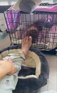 Nikkesha feet photo 10