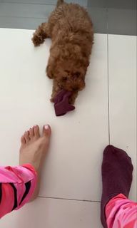 Nikkesha feet photo 5