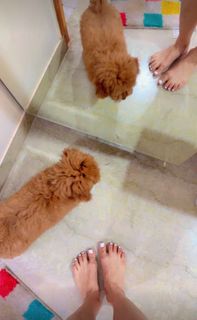 Nikkesha feet photo 3