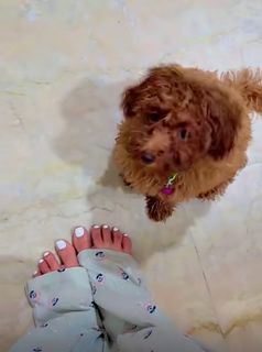 Nikkesha feet photo 16