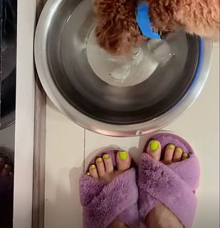 Nikkesha feet photo 1