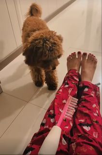 Nikkesha feet photo 15