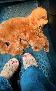 Nikkesha feet photo 4