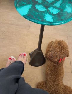 Nikkesha feet photo 9