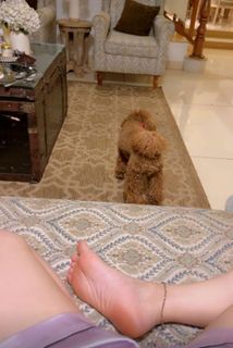 Nikkesha feet photo 20