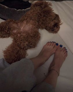 Nikkesha feet photo 18