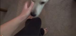 Nikki Baker feet photo 7