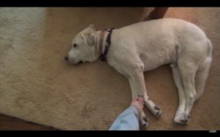 Nikki Baker feet photo 4
