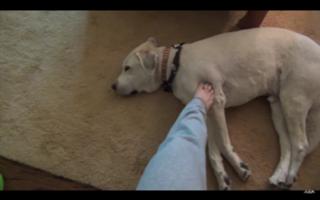 Nikki Baker feet photo 3