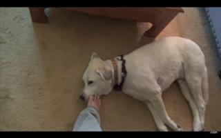 Nikki Baker feet photo 2