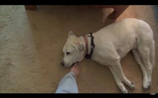 Nikki Baker feet photo 1