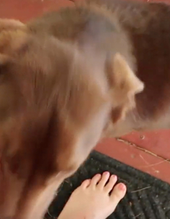 Nikki Baker feet photo 13