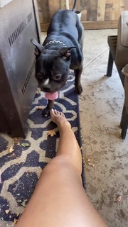 Nikki Blades feet photo thumbnail