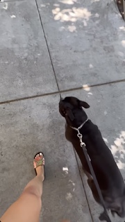 Nikki Blades feet photo thumbnail