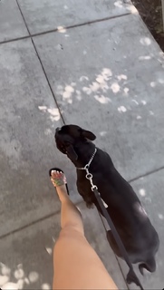 Nikki Blades feet photo thumbnail