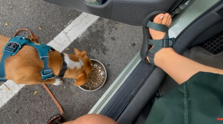 Nikki Delventhal feet photo 6
