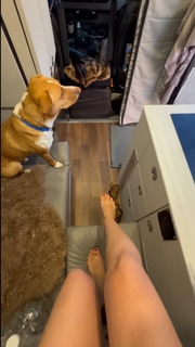 Nikki Delventhal feet photo 16