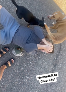Nikki Delventhal feet photo 12