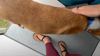 Nikki Delventhal feet photo 19