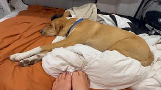Nikki Delventhal feet photo 3