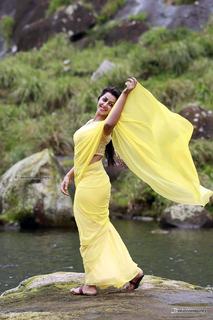 Nikki Galrani feet photo thumbnail