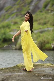 Nikki Galrani feet photo thumbnail