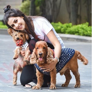 Nikki Galrani feet photo thumbnail