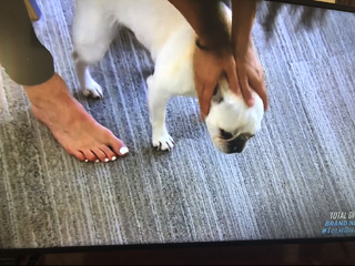Nikki Garcia feet photo thumbnail