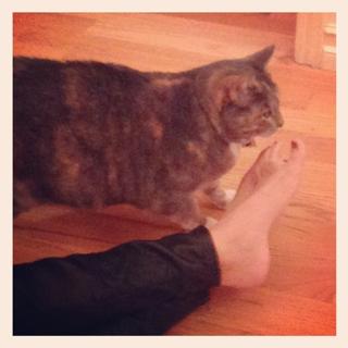 Nikki Griffin feet photo 7