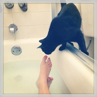 Nikki Griffin feet photo 6